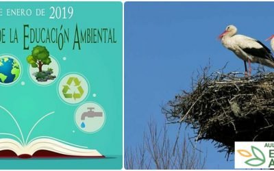 DÍA MUNDIAL DE LA EDUCACIÓN AMBIENTAL