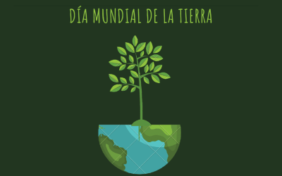 Por un cole un poco más verde