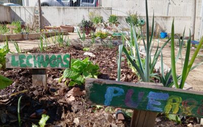 Proyecto VERDE