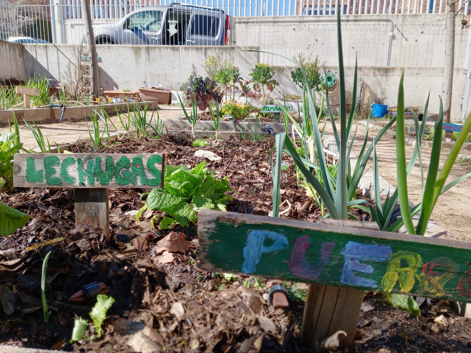 Proyecto VERDE